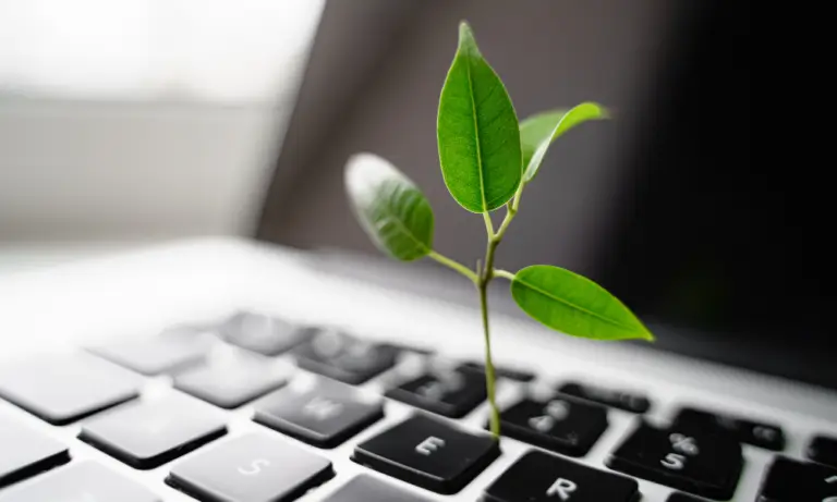 eco-conception,digitalisation